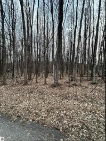 LOT 191 Hilltop Drive Bellaire, MI 49615