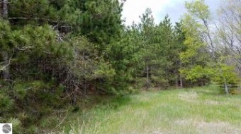 LOT 8 Meadowpine Drive Thompsonville, MI 49683