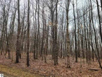 LOT  543 Crestview Circle Elmira, MI 49730