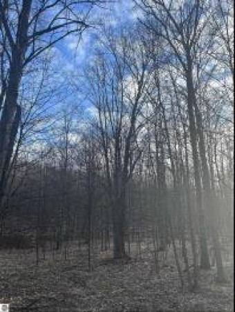 LOT 141 East Village Drive Bellaire, MI 49615