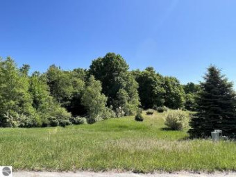 LOT 4 Alden Meadows Drive Alden, MI 49612