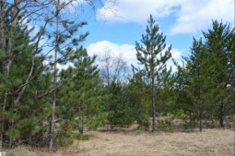 OFF Wood Road, Ne Kalkaska, MI 49646