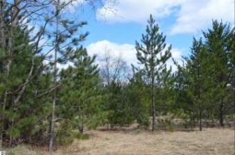 OFF Wood Road, Ne Kalkaska, MI 49646