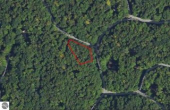 LOT 24 Heideldorf Drive Bellaire, MI 49615