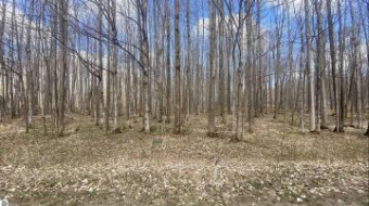 LOT 111 Forestgrove Drive Elmira, MI 49730