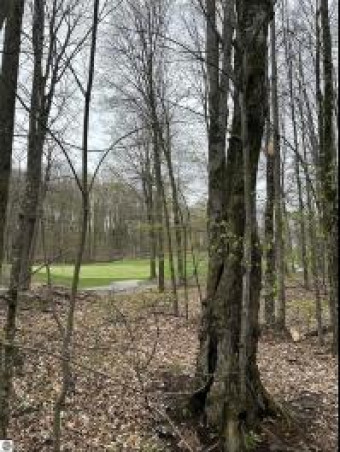 LOT 46 Creekside Drive Bellaire, MI 49615