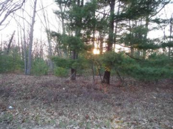 XXX Indian Oaks Lot 2 Prudenville, MI 48651