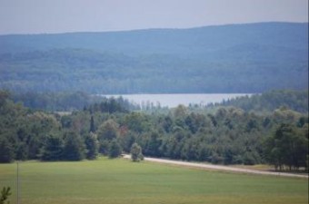 0 Lakeview Road 12 ACRES +- Alanson, MI 49706