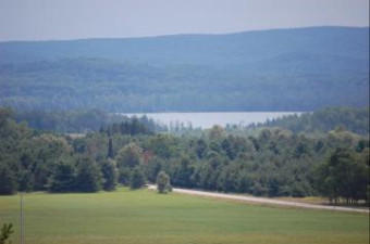 0 Lakeview Road 12 ACRES +- Alanson, MI 49706