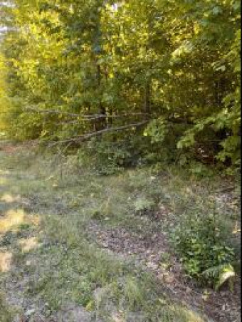 Deerfield Drive LOT 2 Grayling, MI 49738