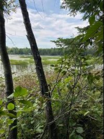 Long Rapids Road 1.13 ACRES Alpena, MI 49707