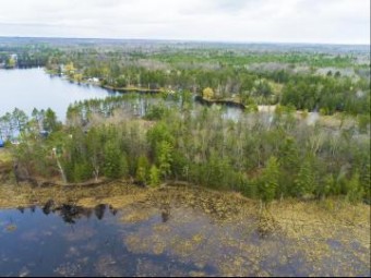 Lake Nettie Road 1.59 ACRES Hawks, MI 49743