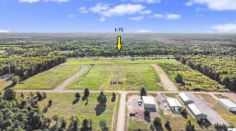 Eagle Parkway LOT 16 Gaylord, MI 49735