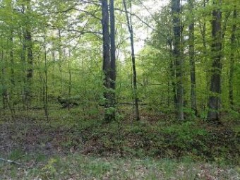 Elmwood Lane LOT 381 Frederic, MI 49733