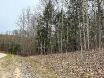 LOT 2 Lake Club Drive Gaylord, MI 49735