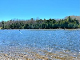 OFF River Edge Drive PARCEL #13 Cheboygan, MI 49721