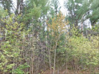 Alpenhof Drive LOT #300 Grayling, MI 49738