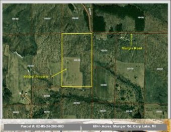 60+/- ACRE Munger Carp Lake, MI 49718