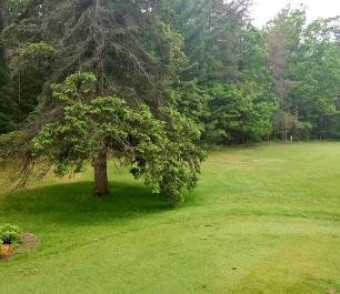 White Deer Trail LOT 19 Prudenville, MI 48651