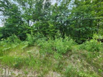 LOT 144 Big Buck Drive Lewiston, MI 49756