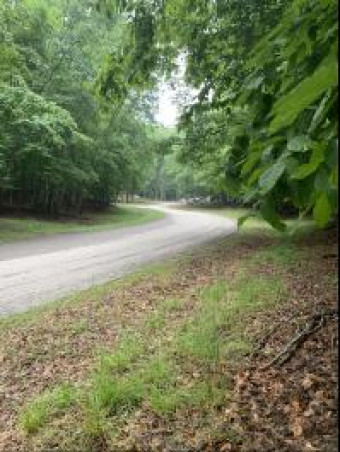 LOT 115 Doe Path Place Gaylord, MI 49735