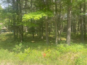 LOT 518 Sanctuary Frederic, MI 49733