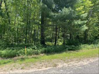 LOT 43 Fairway Drive Roscommon, MI 48653