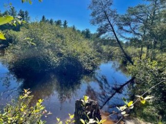 Ausable River Trail 1.05 Roscommon, MI 48653