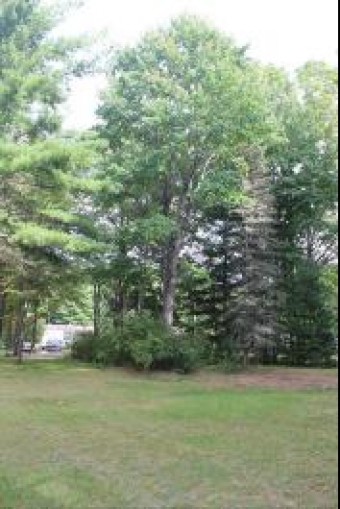 11831 Woody Road Roscommon, MI 48653