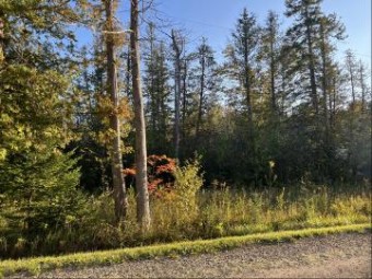 LOT #49 Grace Harbor Road Millersburg, MI 49759