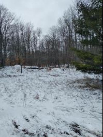 LOT 238 Dellwood Drive Circle Elmira, MI 49730