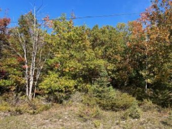 Highland Pines Road LOTS 20,21,22, 55 Presque Isle, MI 49777