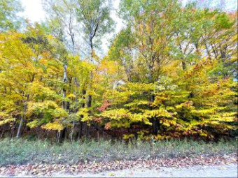 LOT 16 Trout Creek Road Cheboygan, MI 49721