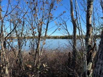 LOT #29 Outer Drive +/- .45 ACRES Presque Isle, MI 49777