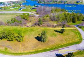 LOT #16 Rivers Ridge Court Cheboygan, MI 49721