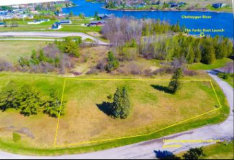 LOT #16 Rivers Ridge Court Cheboygan, MI 49721