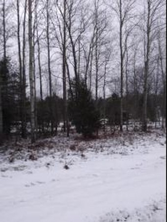 Willoway Drive LOT 230 Mancelona, MI 49659