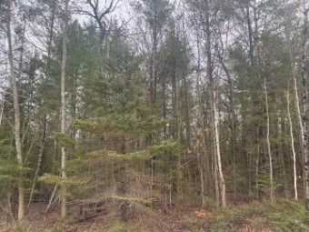 LOT 357 Northland Heights Drive Presque Isle, MI 49777