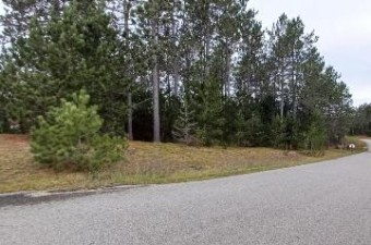 LOT 7 Bears Paw Trail Vanderbilt, MI 49795