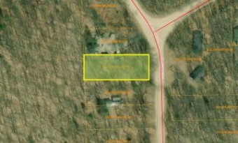 LOT 3 Timber Line Drive Wolverine, MI 49799