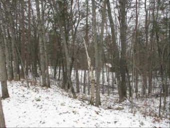 LOT#15 Caulkins Lake Road Johannesburg, MI 49751