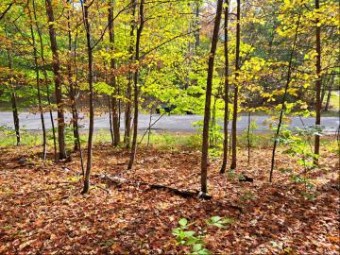 Pheasant Run LOT 1566 Gaylord, MI 49735