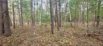 Chippewa Trail LOT 64 & 65 Rogers City, MI 49779