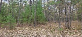 Clay Banks Road LOT 167 & 168 Rogers City, MI 49779