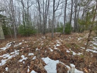 Pawnee Trail LOT 194 Rogers City, MI 49779