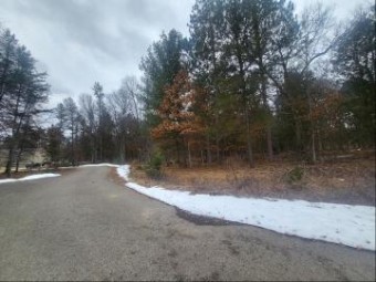 LOT 8 & 30 Norseman Drive Grayling, MI 49738