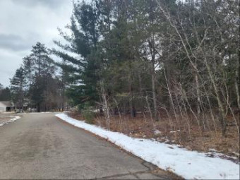 LOT 8 Norseman Drive Grayling, MI 49738