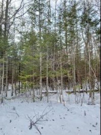 #165 Wilderness  Drive Presque Isle, MI 49777