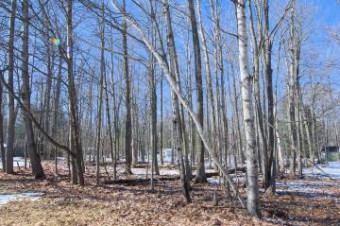 LOT 26 Ellixson Estates Roscommon, MI 48653