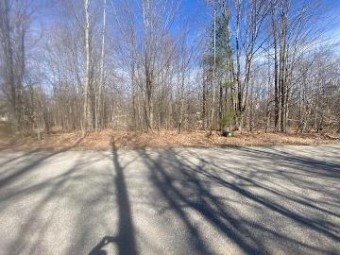 LOT 97 Montrose Drive Mancelona, MI 49659